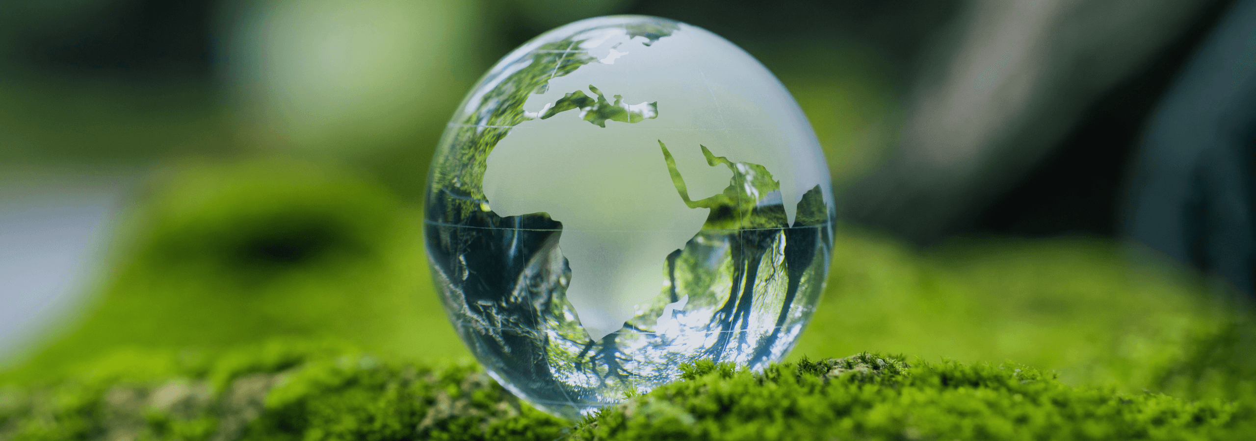 Sustainability Technology